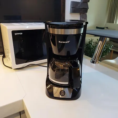 公寓 Lucia Exclusive With Parking In The Garage 波雷奇